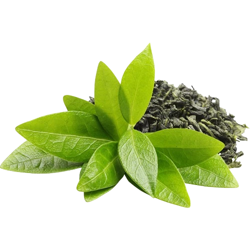 Maqui Berry Ingredient